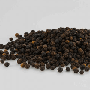 Black pepper (Piper nigrum)